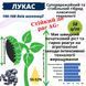 Насіння соняшника гібрид &ndash; ЛУКАС OR 7+ ВИСОКОВРОЖАЙНИЙ, ПОСУХОСТІЙКИЙ, 100-108 дн.