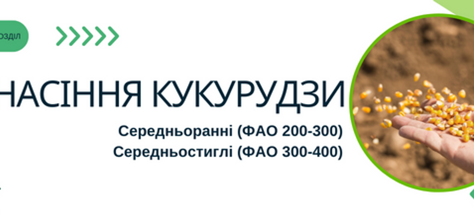 Banner from 1.2 кукурудза