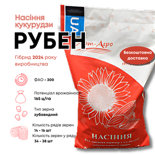РУБЕН (ФАО 300) высокоурожайный гибрид с быстрой влагоотдачей, устойчивостью к стрессам и болезням