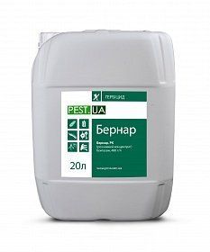 БЕРНАР(Бентазон, 480 г/л) післясходовий гербіцид для ефективного контролю бур'янів